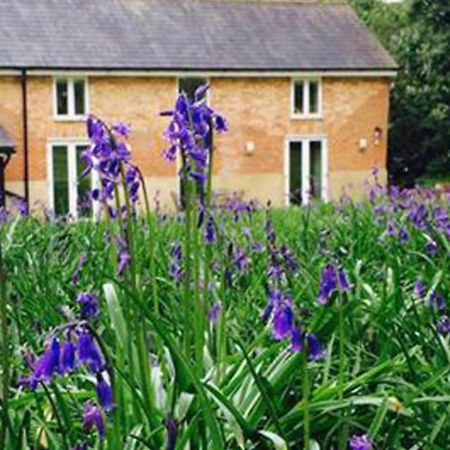 Grooms Cottage Alkham Luaran gambar