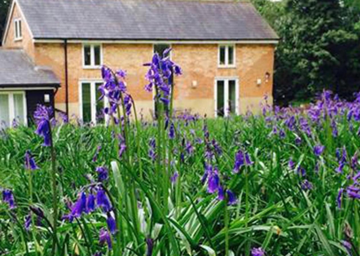 Grooms Cottage Alkham Luaran gambar